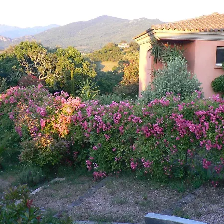 Bed & Breakfast D'hote Casa Tozza