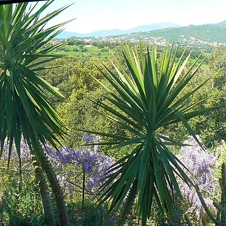 D'hote Casa Tozza 3* Porticcio (Corsica)