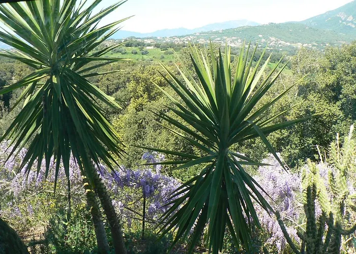 D'hote Casa Tozza 3*